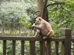 -黔灵山公园-南门售票处