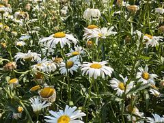 -东华门大街小区