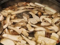 -滇野云南野生菌餐厅(陕西南路店)
