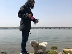 -丁香湖公园