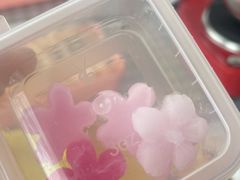 -高东镇樱花园