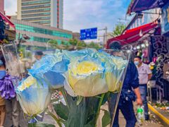 -循礼门鲜花花市(武汉循礼门店)