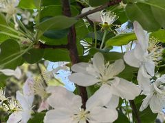-故宫冰窖餐厅