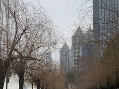 -武昌江滩