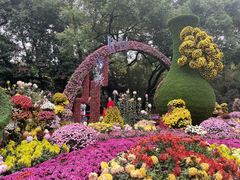 -杭州植物园