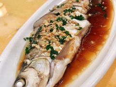 -溱湖八鲜菜馆