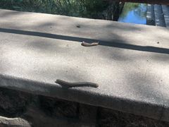 -碓臼峪自然风景区