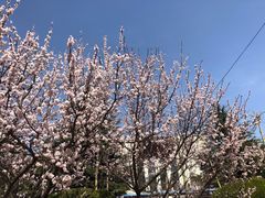 -山东大学(威海校区)