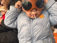 -海合安成都极地海洋公园