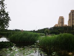 -前关湿地公园