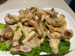 -爱膳菌锅锅(阳南店)