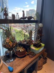 -周忆刺青原创设计定制