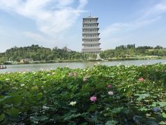 iphone_upload_pic-西安世博园