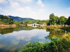 -大屏嶂森林公园