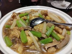 -陈麻婆豆腐总店