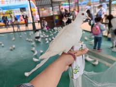 -南京金牛湖风景区