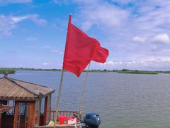 -盐城丹顶鹤湿地生态旅游区