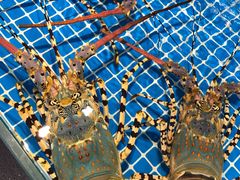 -三亚火车头万人海鲜广场