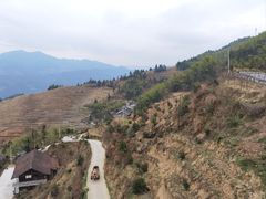 -紫鹊界梯田景区