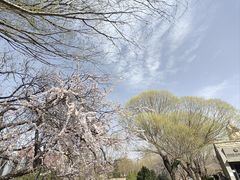 -元大都城垣遗址公园