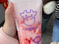 -一只酸奶牛(八一路店)