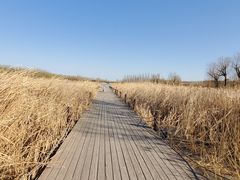 -马家湾湿地公园