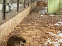 -秦皇岛野生动物园
