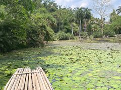 -中国科学院西双版纳热带植物园