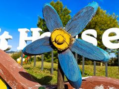 -羊亭河湿地公园