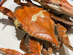 -北塘海鲜·天津菜(大光明桥旗舰店)