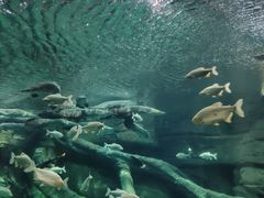 -波塞冬旅游度假区