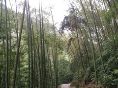 -竹野·上|老字号全竹宴