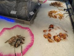 -海韵之星邮轮水会(明发商业广场店)