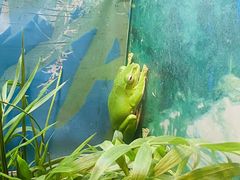 -上海大自然野生昆虫馆