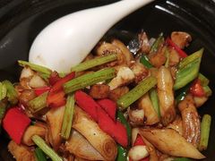 -如轩·海鲜砂锅粥·潮汕菜(东城店)