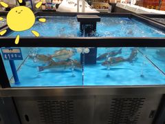 -麦德龙(郑东店)