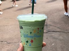 -奥兰多迪士尼动物王国乐园