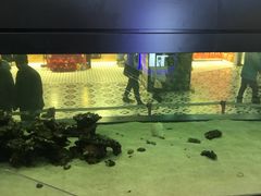 店内环境-凯德广场(学府店)