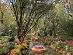 -上海共青森林公园