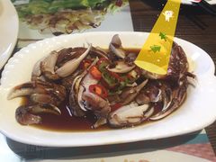 前海沿儿-鲁前海沿儿