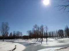 -东郊湿地公园