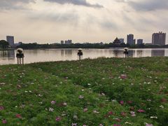 -顺峰山公园