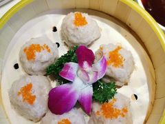 -青口季·港式打边炉(东影南路店桥华店)