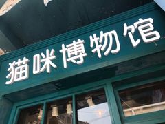 -猫咪博物馆(顶澳仔猫街店)