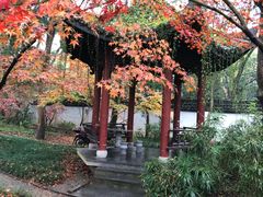 -浙江医院(灵隐院区)
