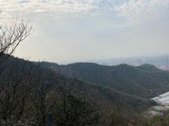 -杭州半山国家森林公园