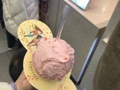 -野人先生现做冰淇淋(西安赛格店)