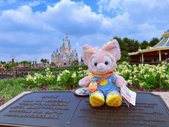 -上海迪士尼度假区