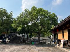 -鲁镇
