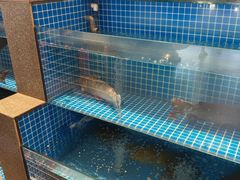 -涿派·炝锅鱼(涿州店)